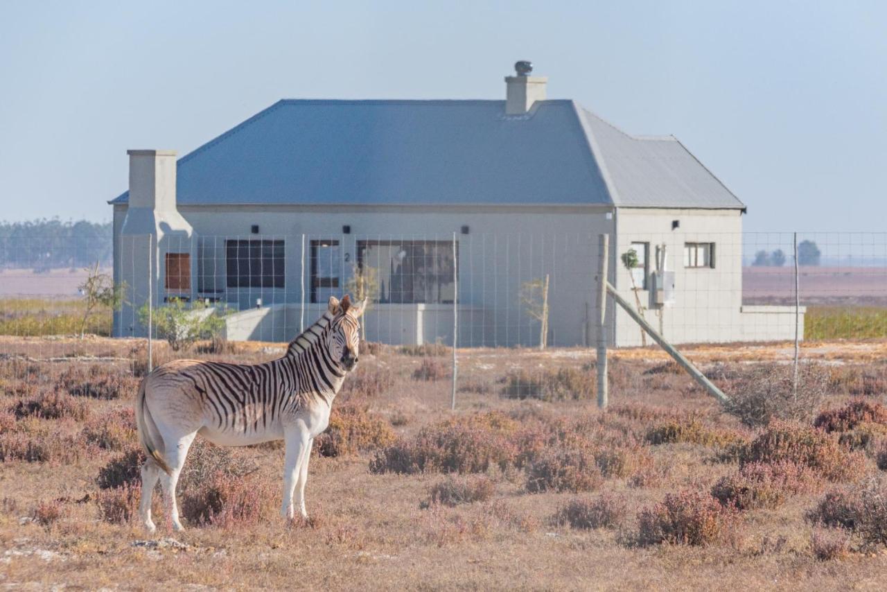 L'Ermitage Quagga Lodge Velddrif Esterno foto